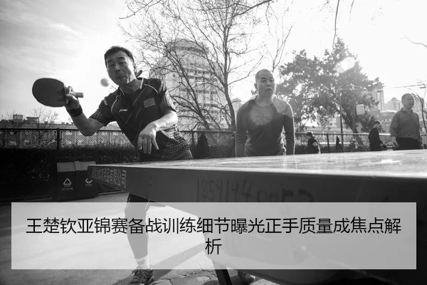 王楚钦亚锦赛备战训练细节曝光正手质量成焦点解析